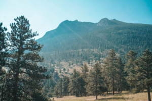 Estes Park Horse Trail Rides