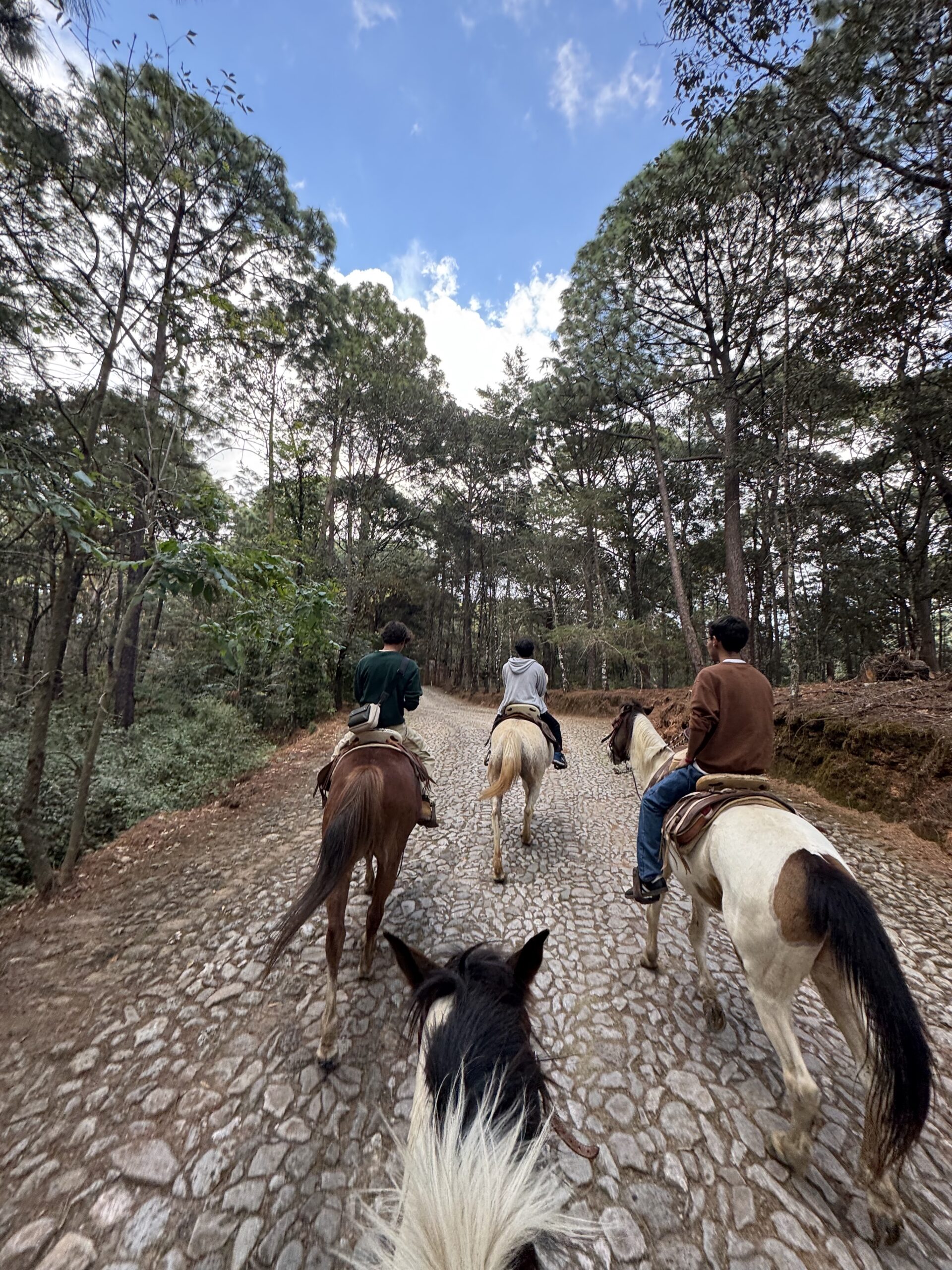 bosque las hadas mazamitla