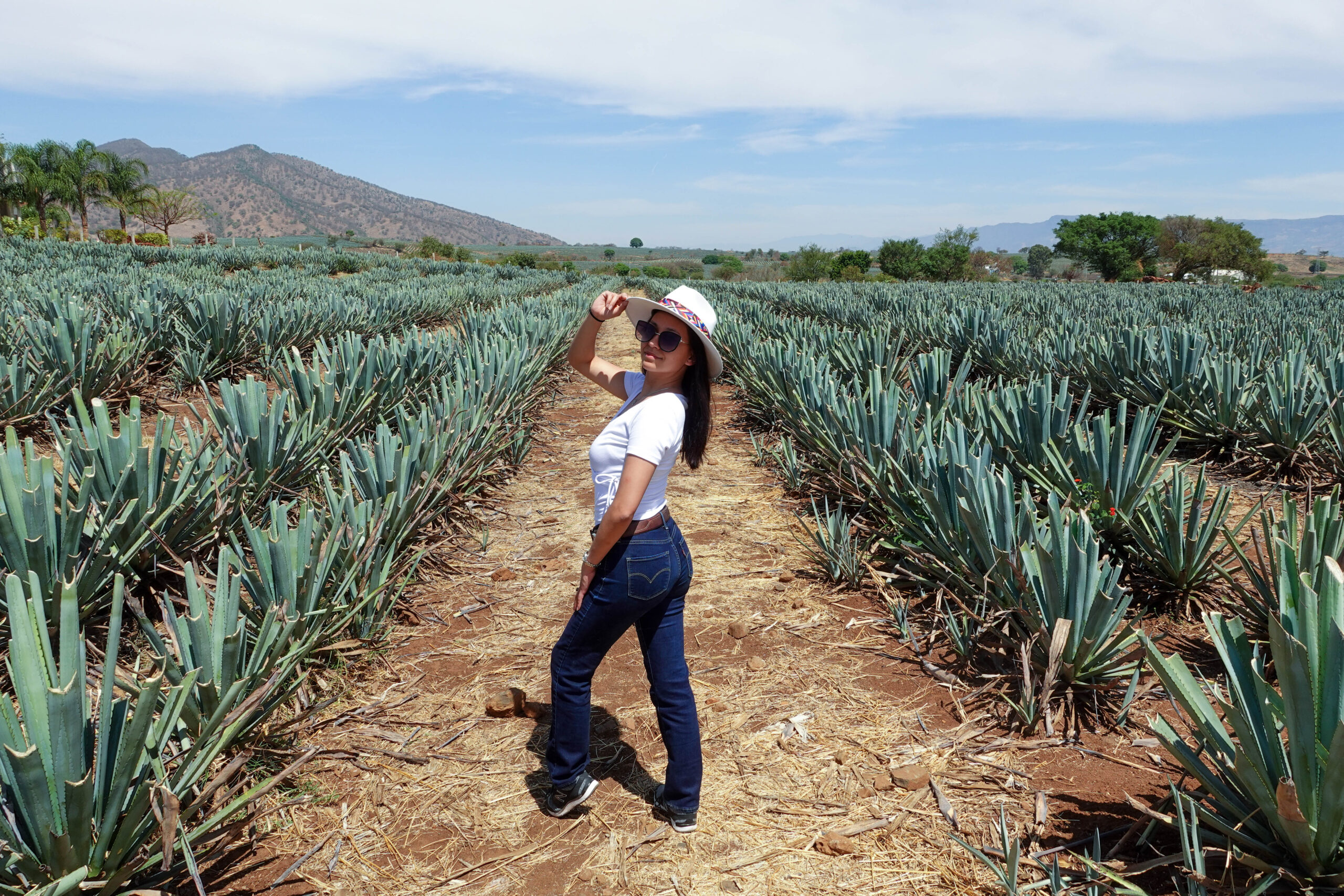 tequila, jalisco day trip from Guadalajara