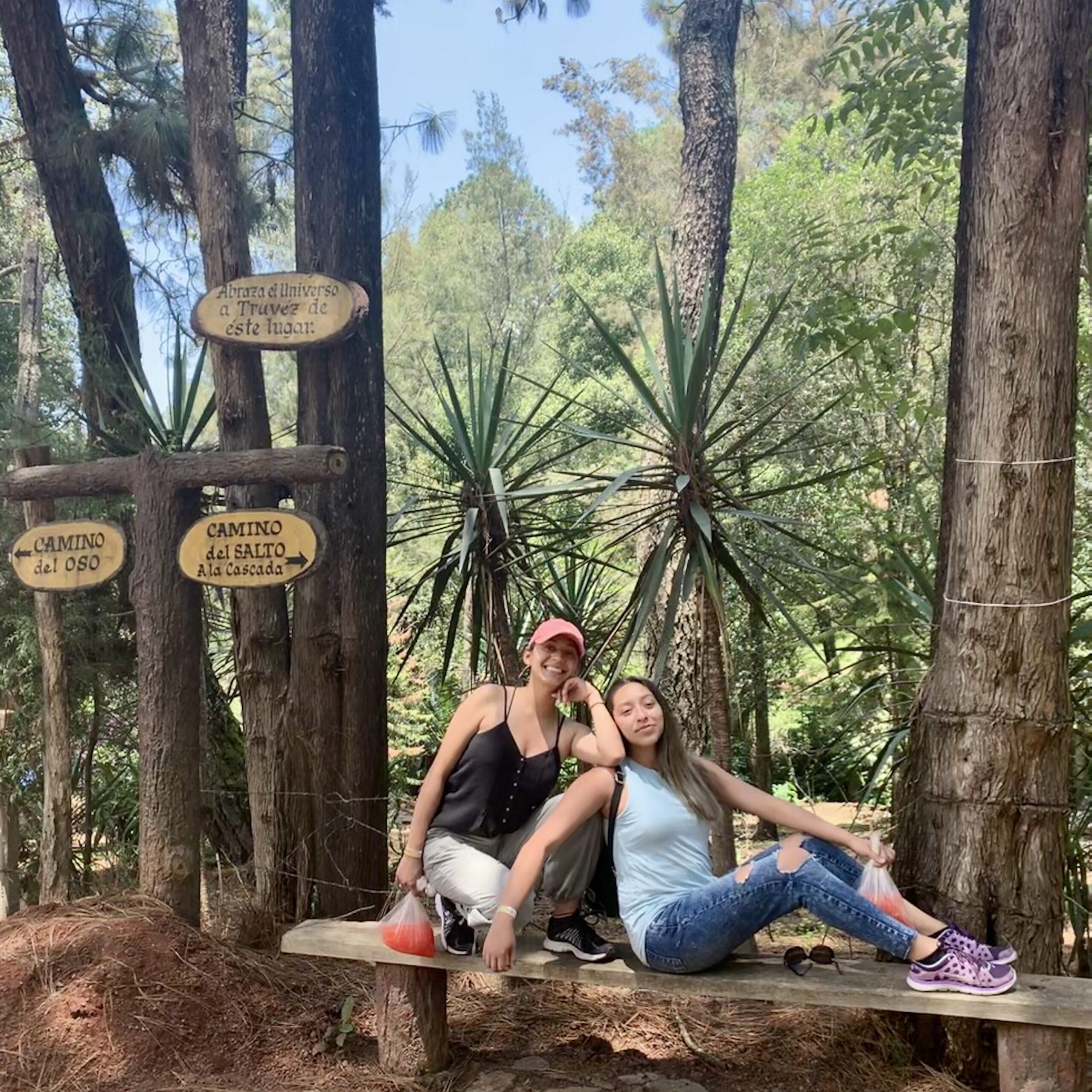 Bosque Mazamitla, Jalisco